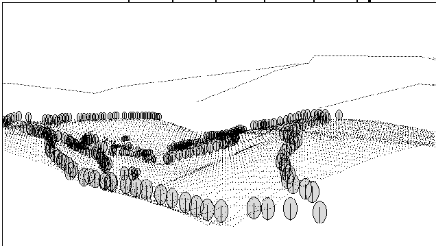 Perspektive des digitalen Geländeoberflächenmodells (Gitternetz) von GOSOL